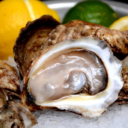 FRENCH KISS OYSTER