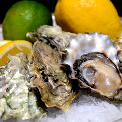 Oysters