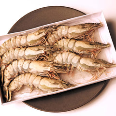 Frozen Shrimps