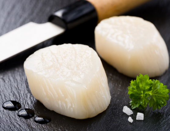 FROZEN SCALLOP MEAT