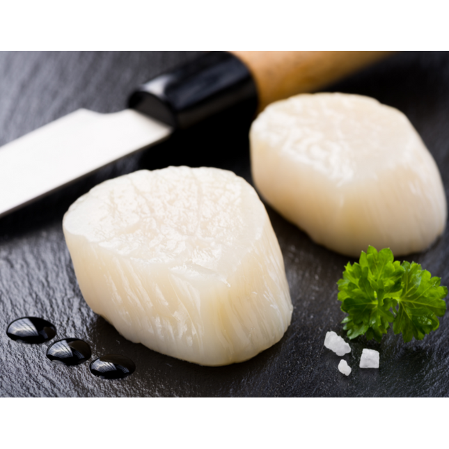FROZEN SCALLOP MEAT