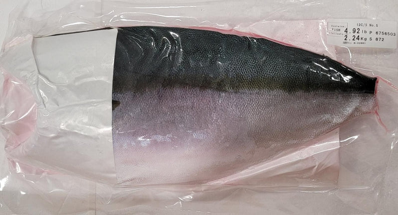Frozen Japanese Hamachi (one side)