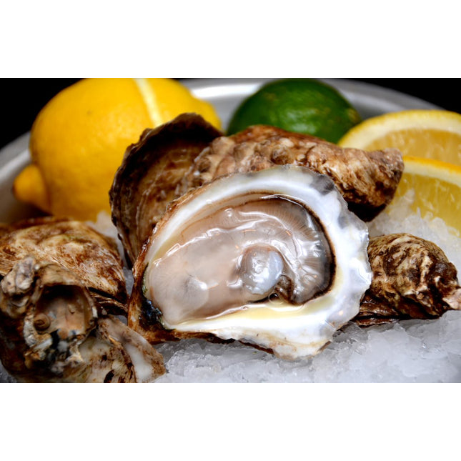 FRENCH KISS OYSTER