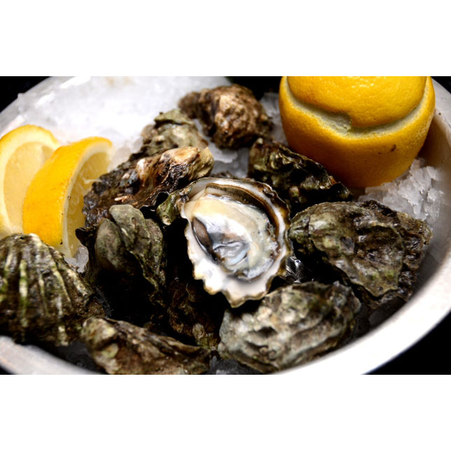 KUMAMOTO OYSTER