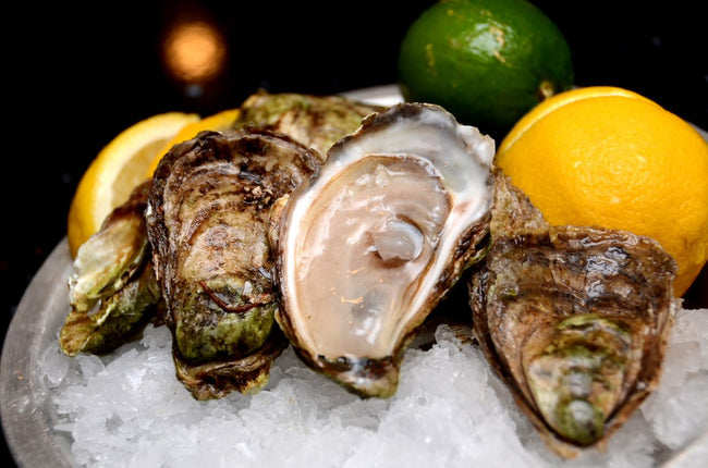 MALPEQUE LARGE CHOICE OYSTER