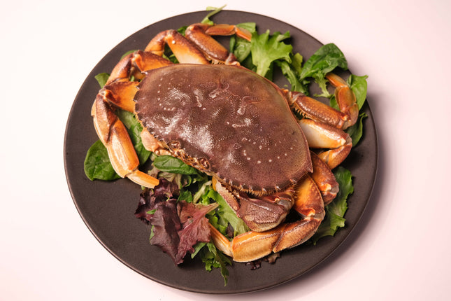 Dungeness Crabs