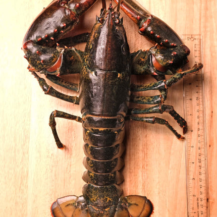 Lobsters